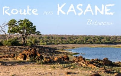Route vers Kasane – J11