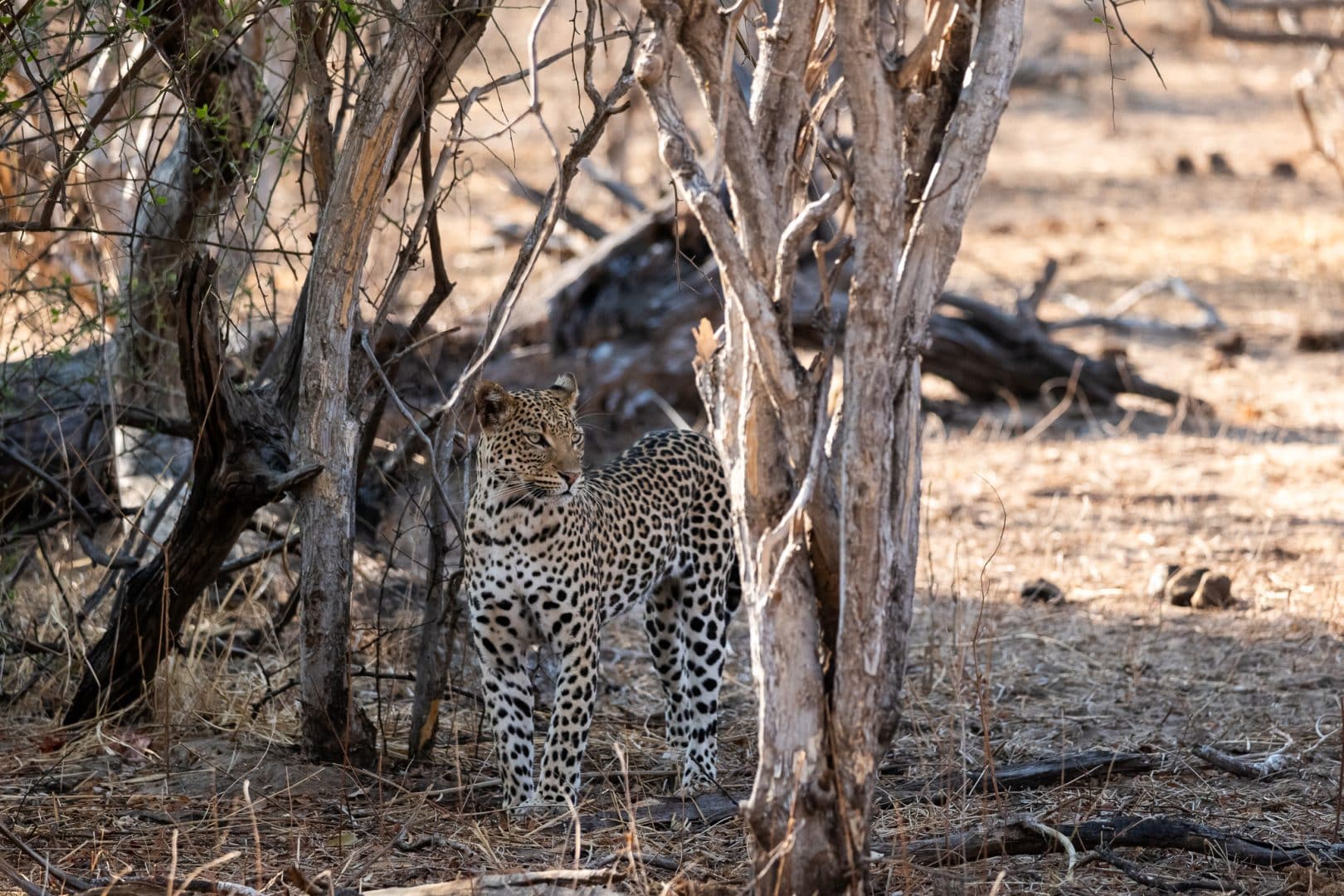 Botswana