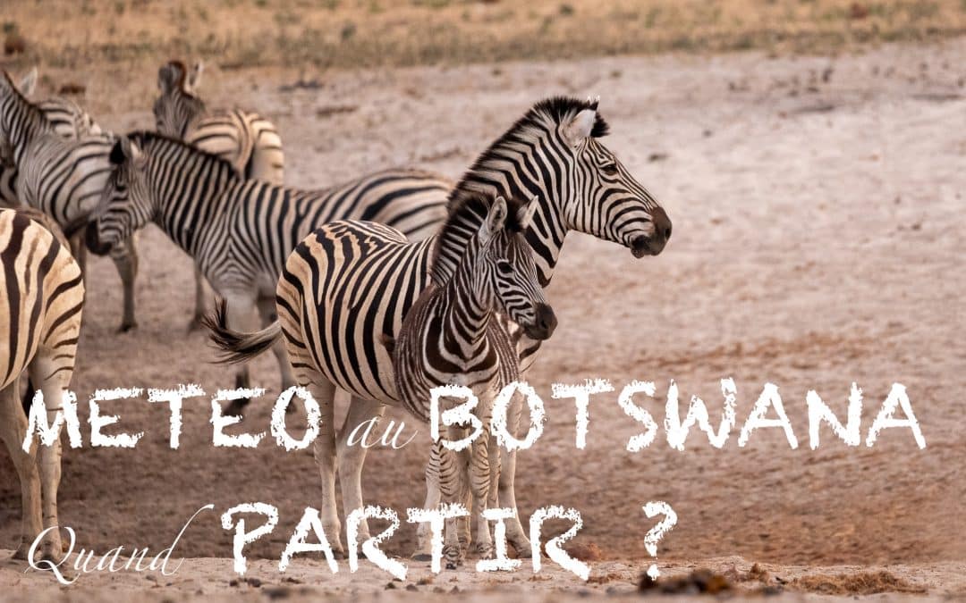 Météo – quand partir au Botswana ?