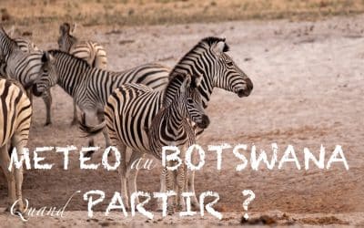 Météo – quand partir au Botswana ?