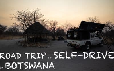 Conseils pour road-trip en self-drive au Botswana