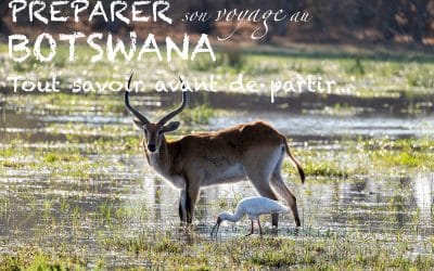 Préparer son voyage au Botswana – Tout savoir avant de partir !