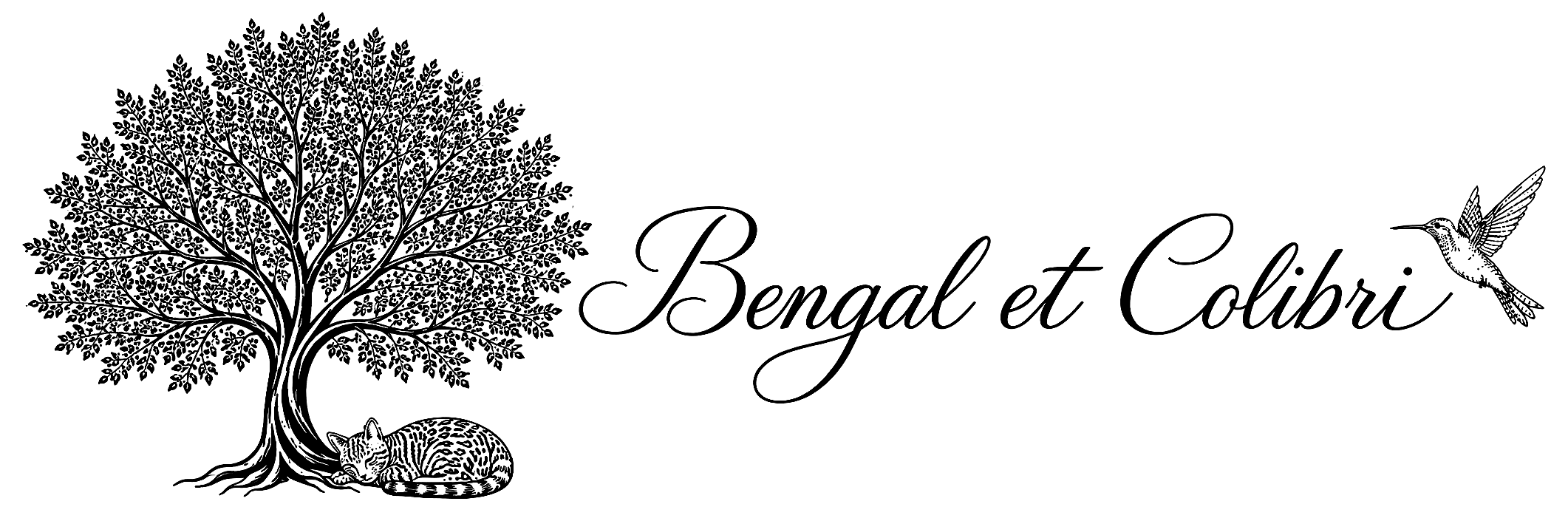 NEW logo_bengal_colibri_noir_transparent